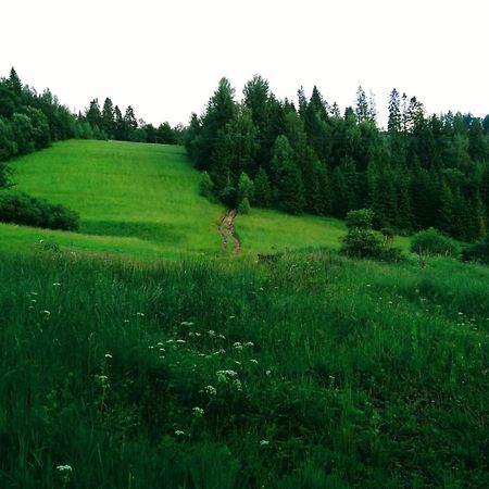 Domek W Gorach Pod Rysianka Zlatna Esterno foto