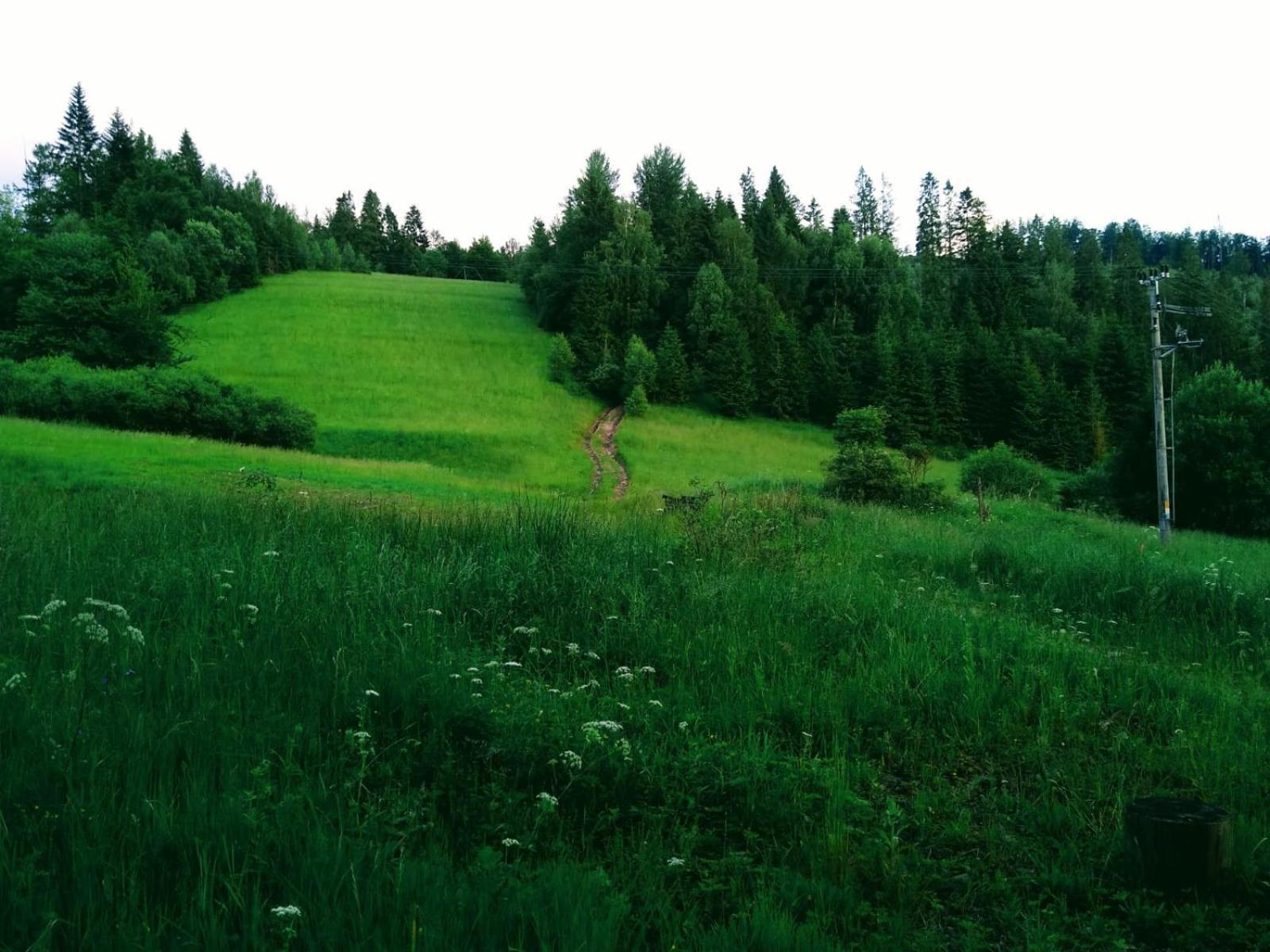 Domek W Gorach Pod Rysianka Zlatna Esterno foto